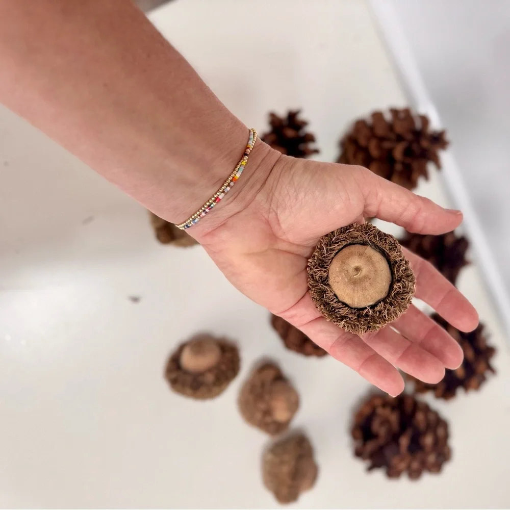 12 Pc. Natural Pinecone & Acorn Set for Rustic Floral Arrangement Wreath Crafts